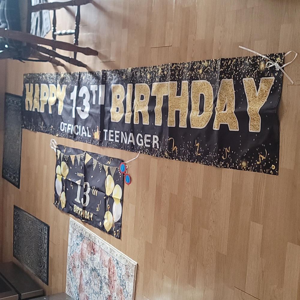 Large 13th Birthday Banners